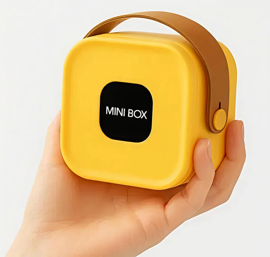 Mini Portable Jewelry Organizer Box with Mirror & Handle