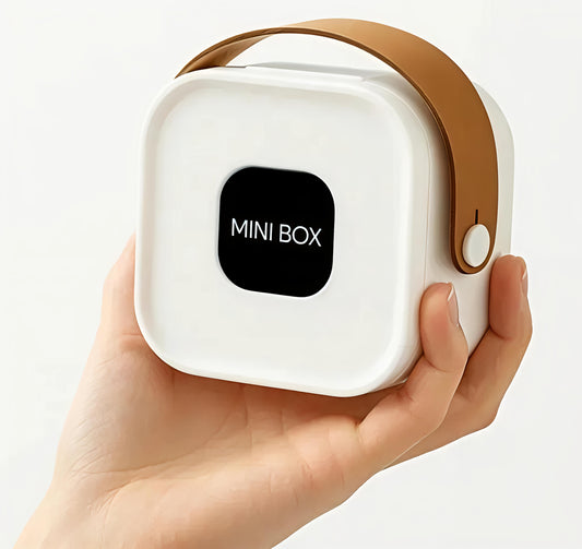 Mini Portable Jewelry Organizer Box with Mirror & Handle